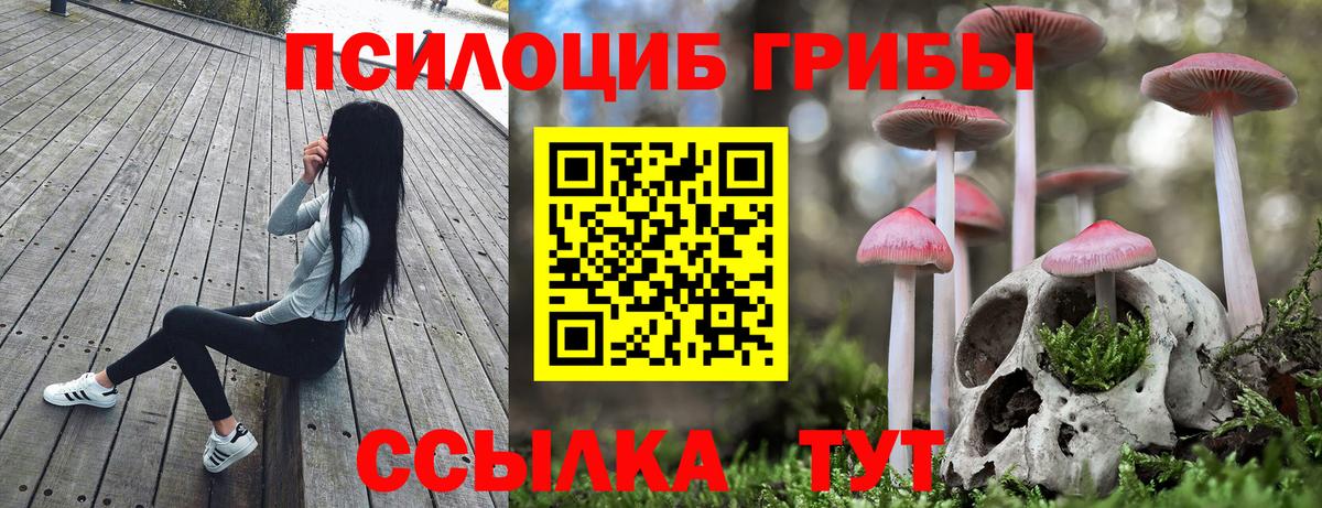 Псилоцибиновые грибы мухоморы Изобильный
